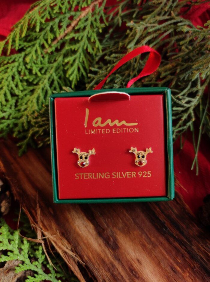 گوشواره‌ی نقره عیار 925